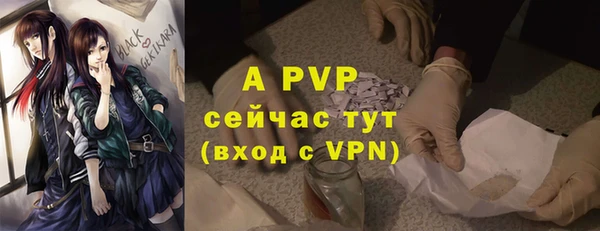 Альфа ПВП Мегион