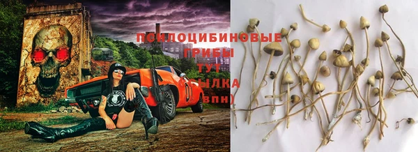 молекула духа Магас